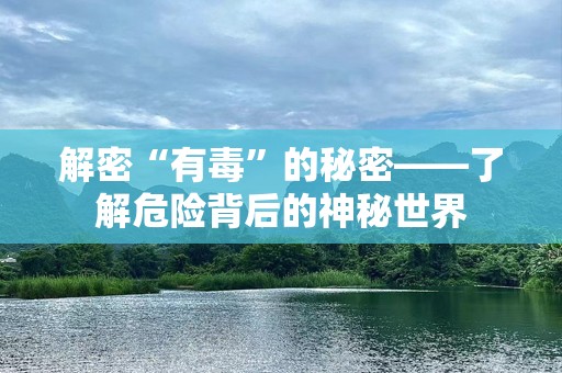 解密“有毒”的秘密——了解危险背后的神秘世界