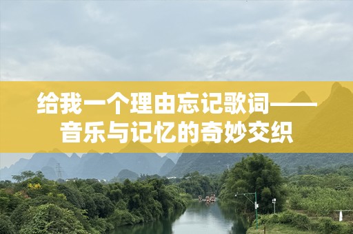 给我一个理由忘记歌词——音乐与记忆的奇妙交织