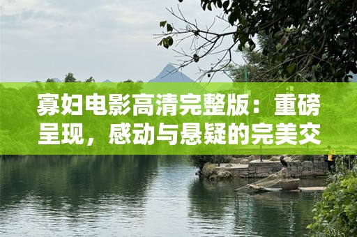 寡妇电影高清完整版：重磅呈现，感动与悬疑的完美交织