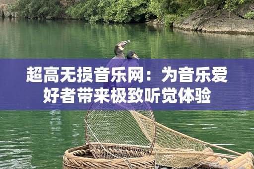 超高无损音乐网：为音乐爱好者带来极致听觉体验