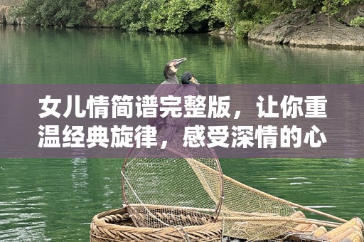 女儿情简谱完整版，让你重温经典旋律，感受深情的心弦