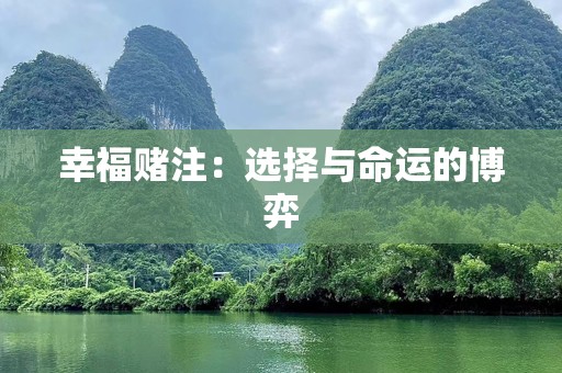 幸福赌注：选择与命运的博弈
