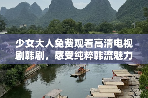 少女大人免费观看高清电视剧韩剧，感受纯粹韩流魅力