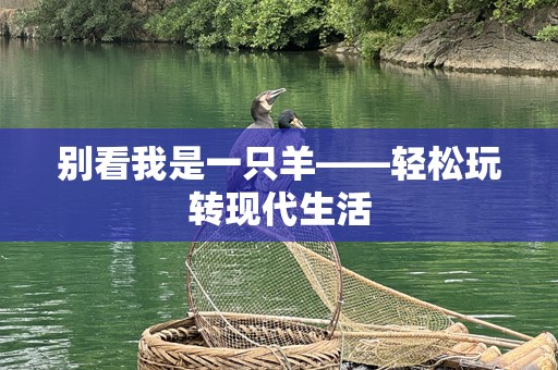 别看我是一只羊——轻松玩转现代生活