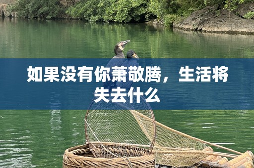 如果没有你萧敬腾，生活将失去什么