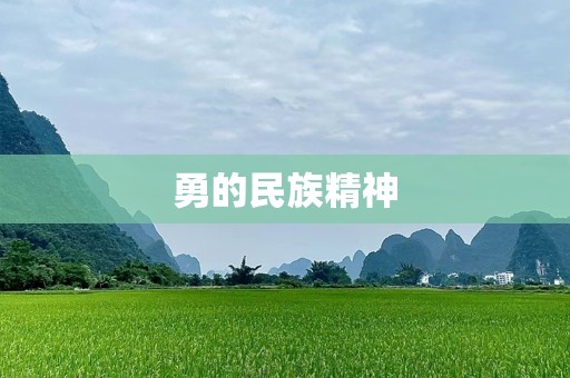 勇的民族精神