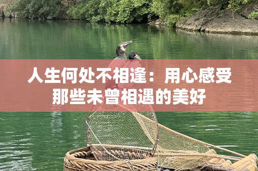 人生何处不相逢：用心感受那些未曾相遇的美好