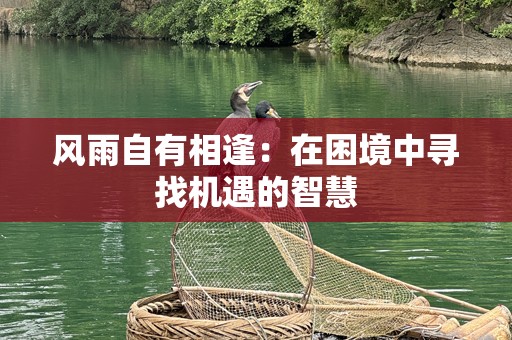 风雨自有相逢：在困境中寻找机遇的智慧