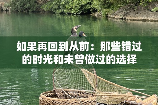 如果再回到从前：那些错过的时光和未曾做过的选择