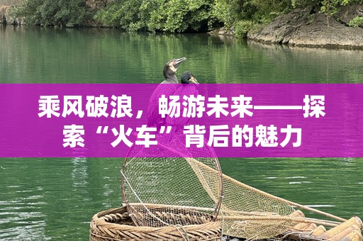 乘风破浪，畅游未来——探索“火车”背后的魅力