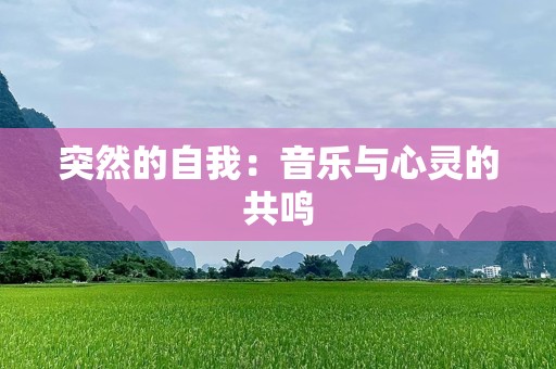 突然的自我：音乐与心灵的共鸣