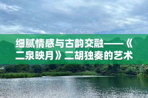 细腻情感与古韵交融——《二泉映月》二胡独奏的艺术魅力