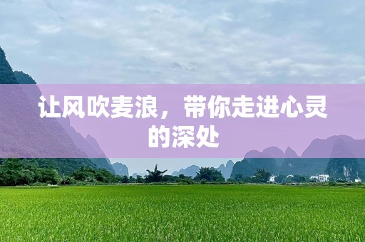 让风吹麦浪，带你走进心灵的深处