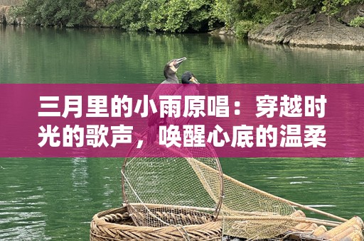 三月里的小雨原唱：穿越时光的歌声，唤醒心底的温柔