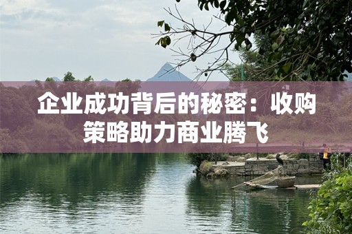 企业成功背后的秘密：收购策略助力商业腾飞