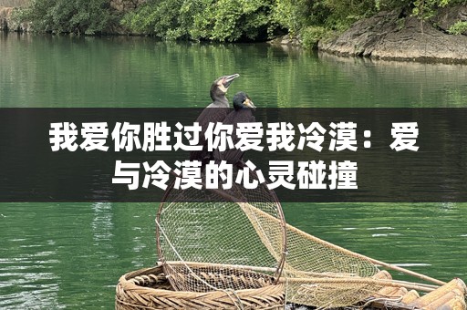 我爱你胜过你爱我冷漠：爱与冷漠的心灵碰撞
