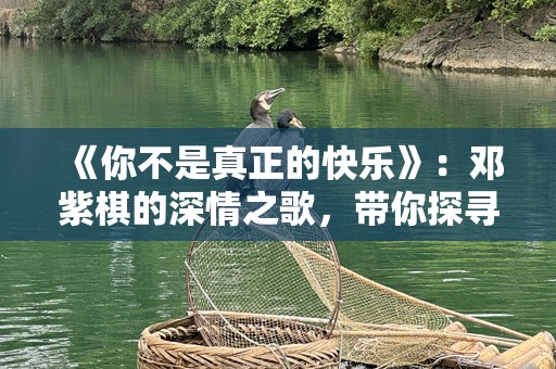 《你不是真正的快乐》：邓紫棋的深情之歌，带你探寻内心的真正平静