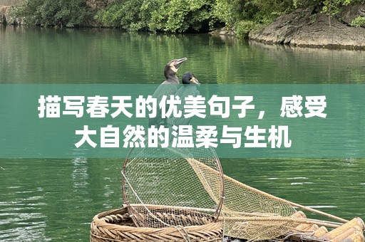 描写春天的优美句子，感受大自然的温柔与生机
