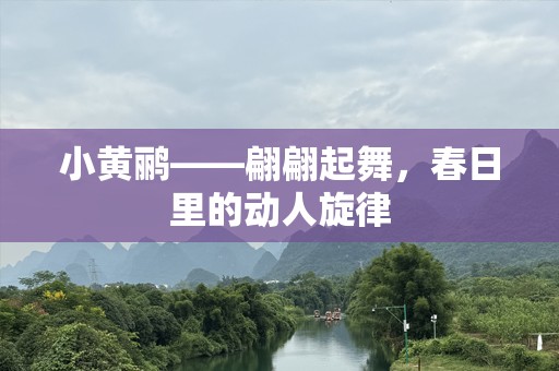 小黄鹂——翩翩起舞，春日里的动人旋律