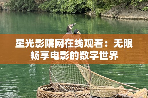 星光影院网在线观看：无限畅享电影的数字世界