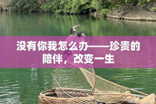 没有你我怎么办——珍贵的陪伴，改变一生