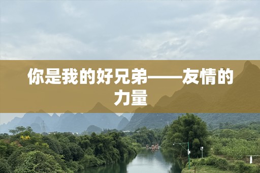 你是我的好兄弟——友情的力量