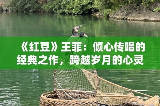 《红豆》王菲：倾心传唱的经典之作，跨越岁月的心灵共鸣