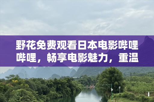 野花免费观看日本电影哔哩哔哩，畅享电影魅力，重温经典与新作