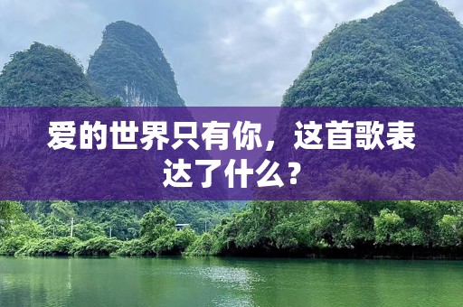 爱的世界只有你，这首歌表达了什么？