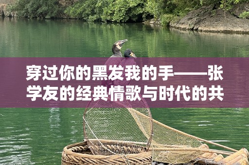 穿过你的黑发我的手——张学友的经典情歌与时代的共鸣