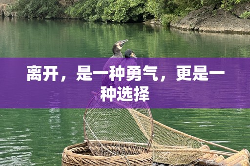 离开，是一种勇气，更是一种选择