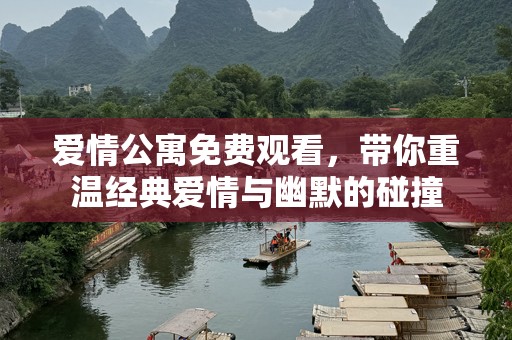 爱情公寓免费观看，带你重温经典爱情与幽默的碰撞