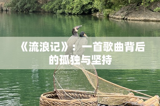 《流浪记》：一首歌曲背后的孤独与坚持
