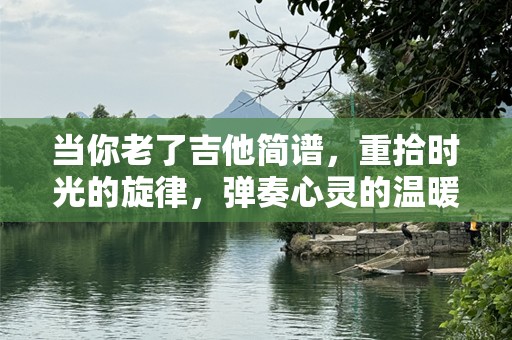 当你老了吉他简谱，重拾时光的旋律，弹奏心灵的温暖