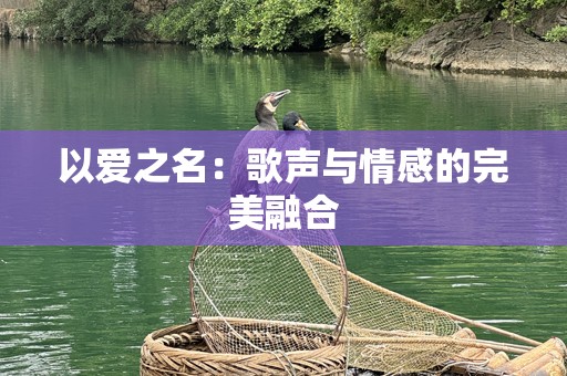 以爱之名：歌声与情感的完美融合