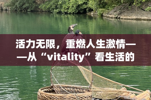 活力无限，重燃人生激情——从“vitality”看生活的新选择