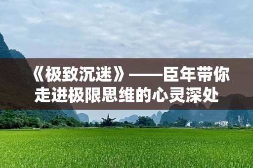 《极致沉迷》——臣年带你走进极限思维的心灵深处