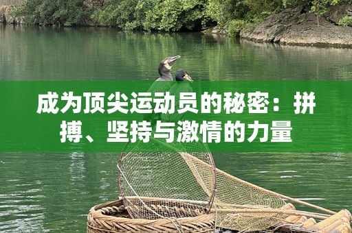 成为顶尖运动员的秘密：拼搏、坚持与激情的力量