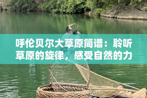 呼伦贝尔大草原简谱：聆听草原的旋律，感受自然的力量