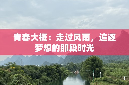 青春大概：走过风雨，追逐梦想的那段时光