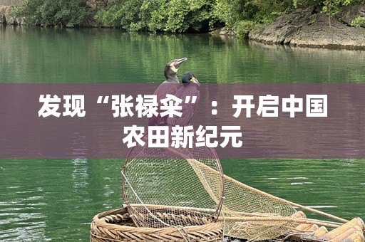 发现“张禄籴”：开启中国农田新纪元