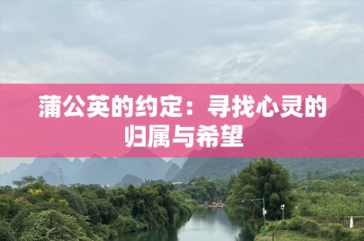 蒲公英的约定：寻找心灵的归属与希望
