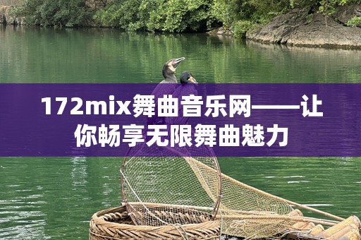 172mix舞曲音乐网——让你畅享无限舞曲魅力