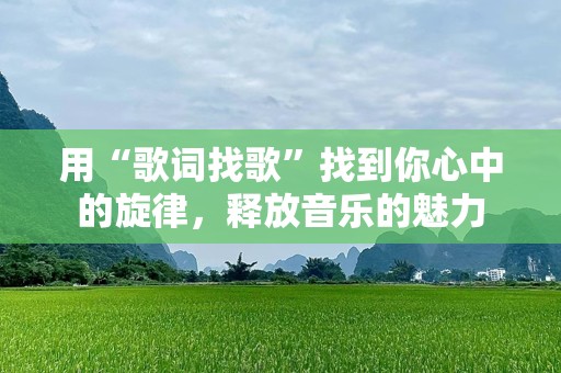 用“歌词找歌”找到你心中的旋律，释放音乐的魅力
