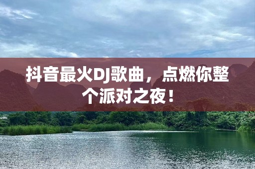 抖音最火DJ歌曲，点燃你整个派对之夜！