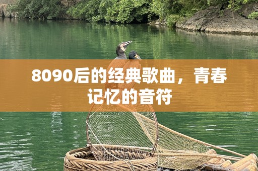 8090后的经典歌曲，青春记忆的音符