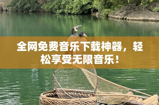 全网免费音乐下载神器，轻松享受无限音乐！