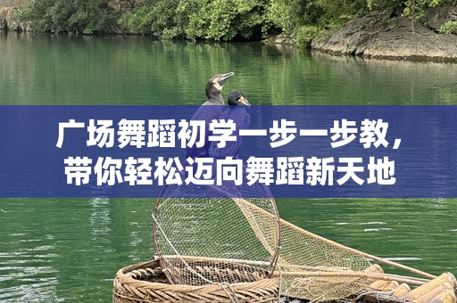 广场舞蹈初学一步一步教，带你轻松迈向舞蹈新天地