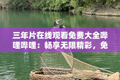 三年片在线观看免费大全哔哩哔哩：畅享无限精彩，免费观看各类影视大片