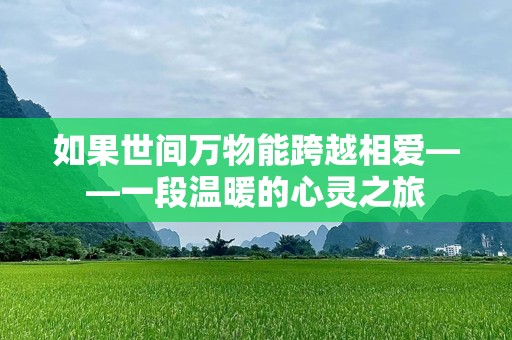 如果世间万物能跨越相爱——一段温暖的心灵之旅